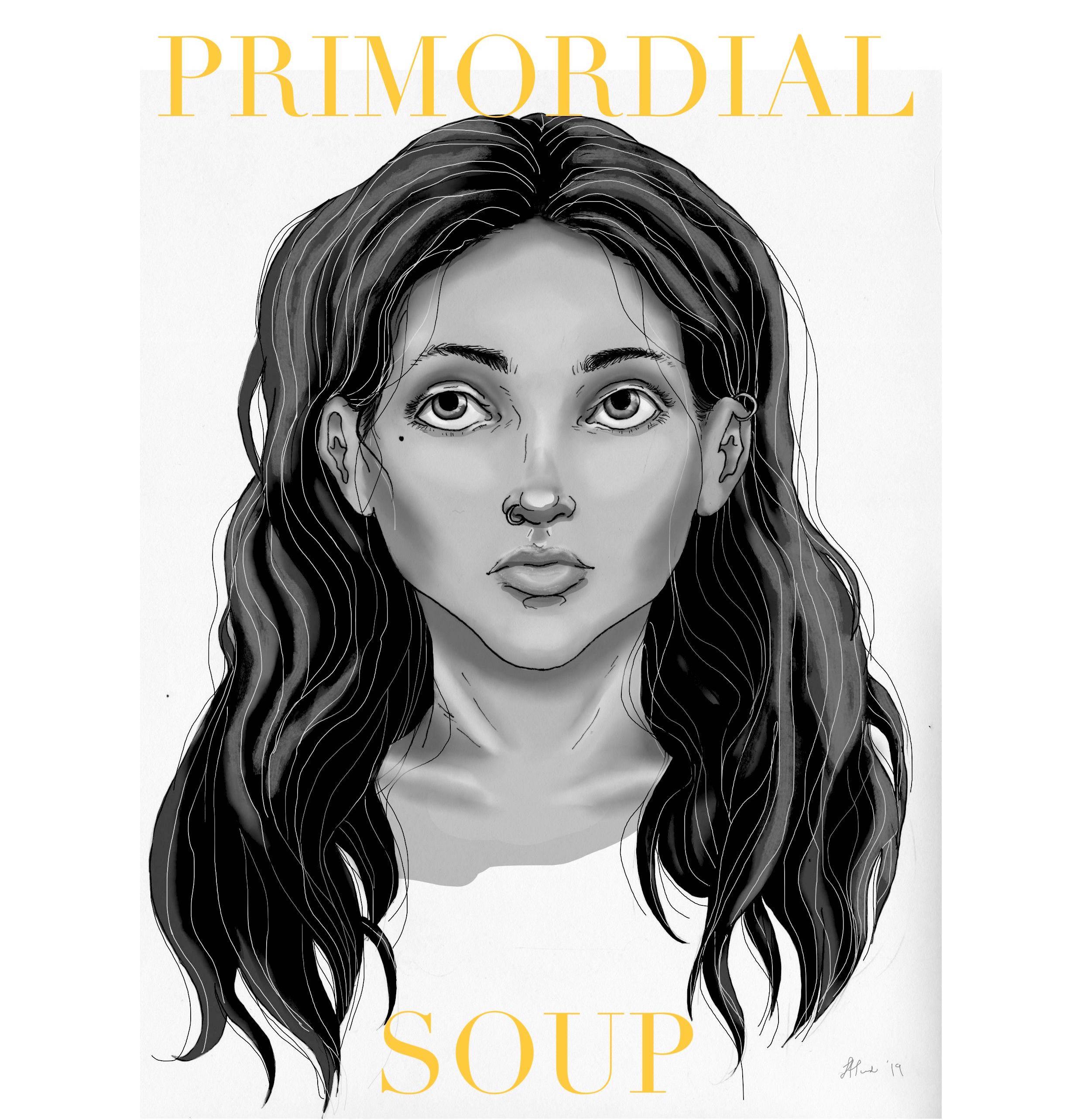 Primordial Soup